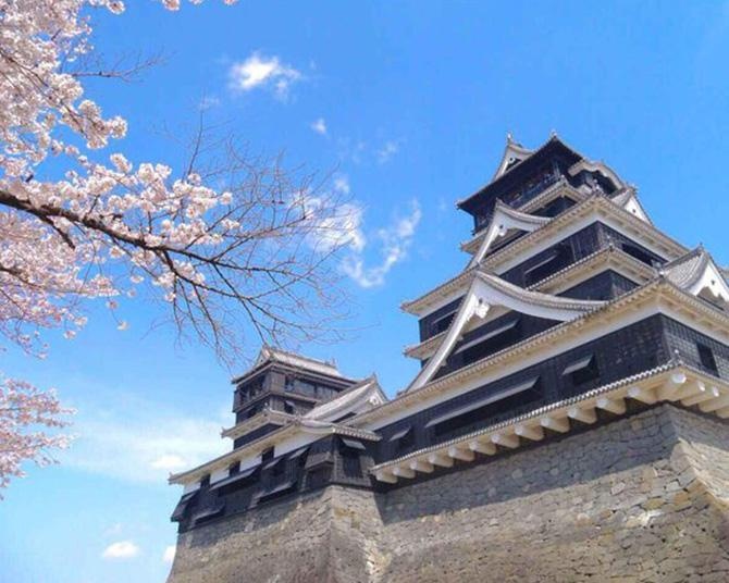 熊本城の桜はいつが見ごろ？熊本のシンボルも桜の季節に
