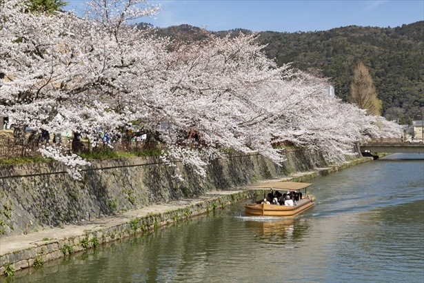 三条駅からほど近い岡崎公園