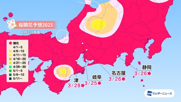 東海地方の桜開花予想(情報は2025年4月2日発表　ウェザーニューズ)
