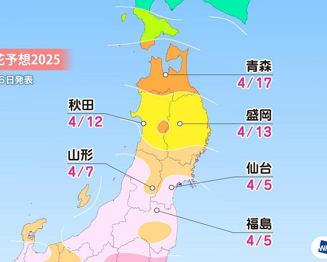 2025年の桜開花・満開予想(北海道・東北編)　北海道は平年よりも1週間前後早い開花に