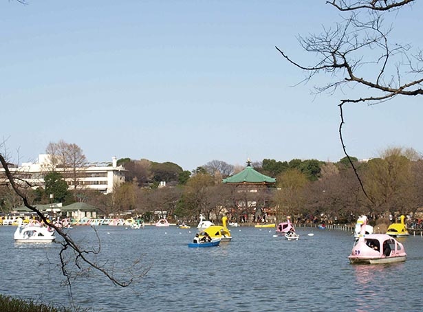 ボート池で水上からの眺めも楽しみたい