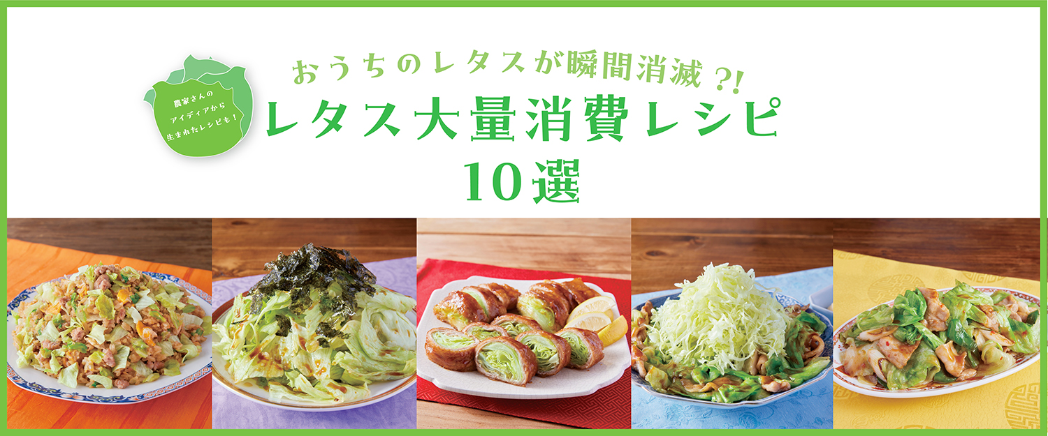 農家さんと考案したレタス大量消費レシピ10選
